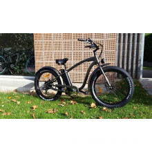 2016 Hot Selling Beach Style E-Bike with 4.0inch Fat Tire